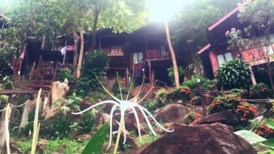 Phi Phi Green Hill Resort - 68