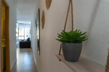 Playas de Torrevieja - 15