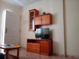 Basement Apartment