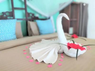 Reef & Beach Resort - Spa Jambiani - 26