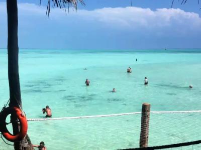 Reef & Beach Resort - Spa Jambiani - 27