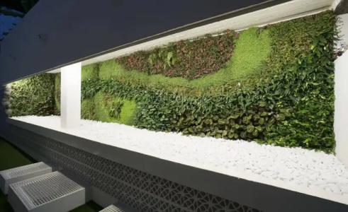 MS Aguamarina Suites - 23