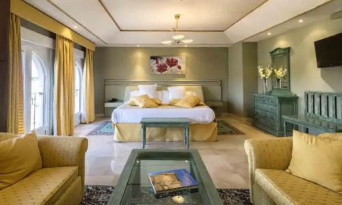 Sercotel Alfonso VI - 34