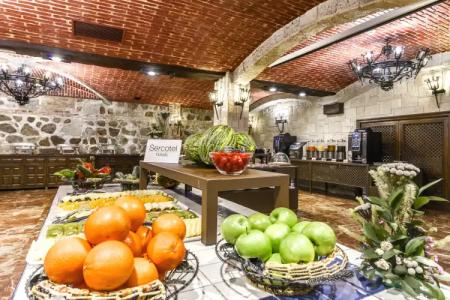 Sercotel Alfonso VI - 13