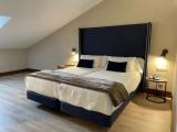 Standard Double Attic room
