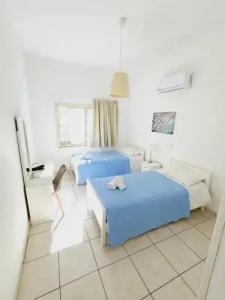 Stephanie City Apartments - 48