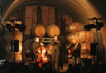 Schwarzer Adler - 13