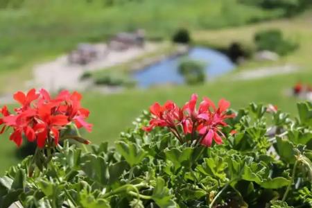 Ewa Medical & SPA - 26