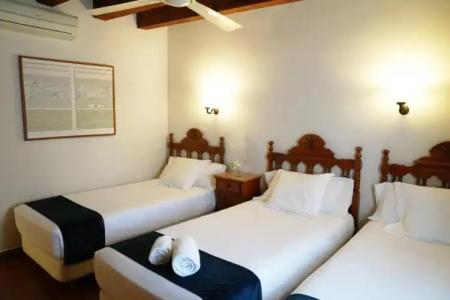 Medium Renaixença - 38