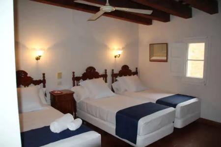 Medium Renaixença - 20