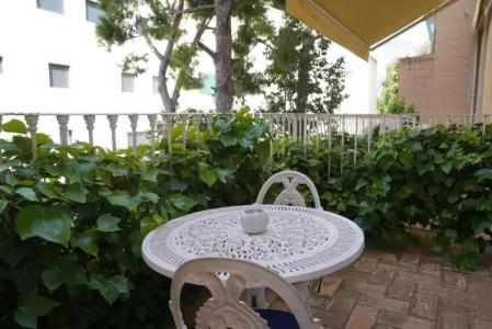 Medium Renaixença - 29