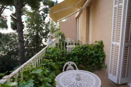 Medium Renaixença - 50