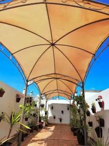 Un Patio al Sur - 66