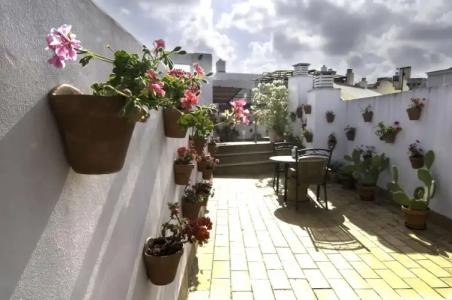 Un Patio al Sur - 43