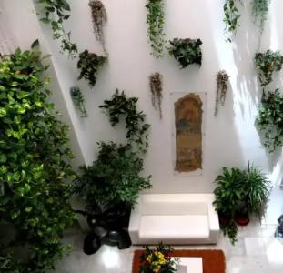 Un Patio al Sur - 32