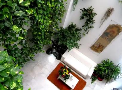 Un Patio al Sur - 24