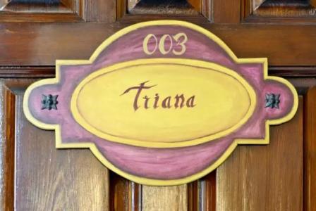 Casa Palacio Don Pedro - 19