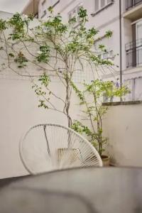 Reyes Católicos - 16