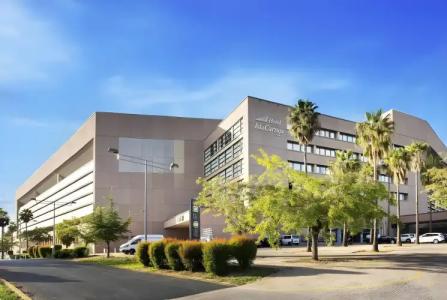 Exe Isla Cartuja - 31