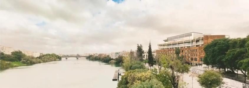 Ribera de Triana - 48