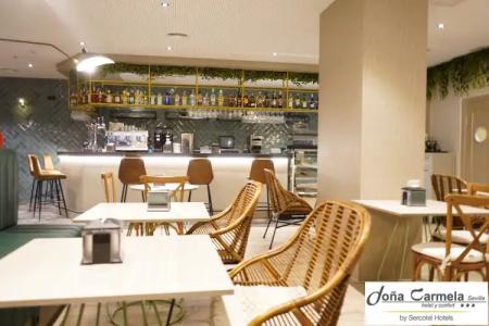 Sercotel Doña Carmela - 13