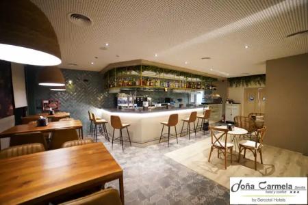 Sercotel Doña Carmela - 17