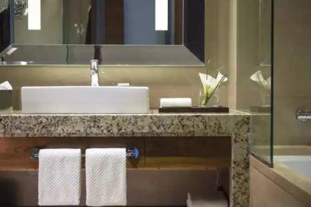 Renaissance Cairo Mirage City - 107