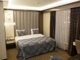 Standard Double room with city view