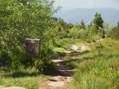 Nationalpark-Schliffkopf - 30