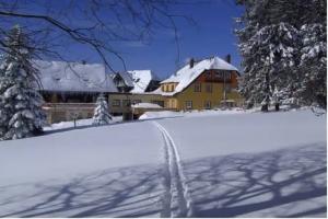 Hotel Schwarzwald Kniebis, Kniebis