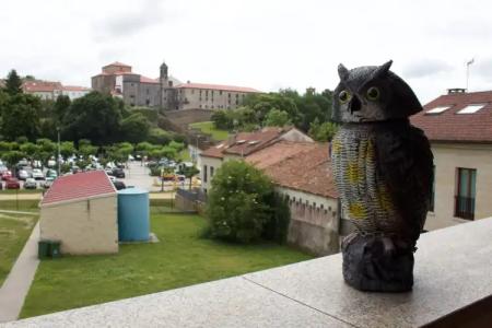 Miradoiro de Belvís - 16