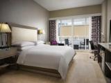Double room with balcony and with park view