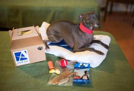 azuLine Mediterráneo - 15