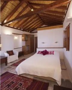 Malvasia Traditional - 33