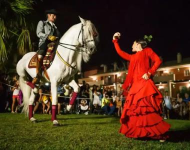 Ilunion Sancti Petri - 25