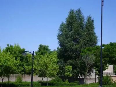 Nobis Salamanca - 12