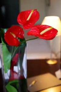 ApartAttica 21 Vallés - 48