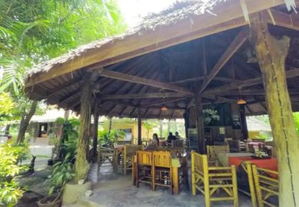 Vipa Tropical Resort - 13