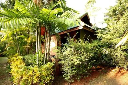 Vipa Tropical Resort - 17