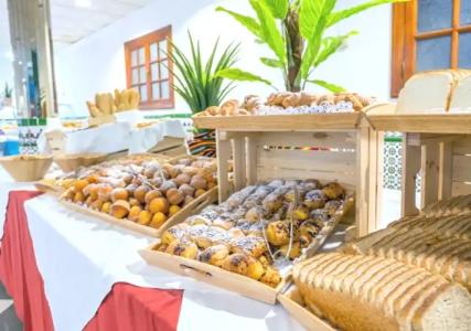 Checkin Concordia Playa - 14