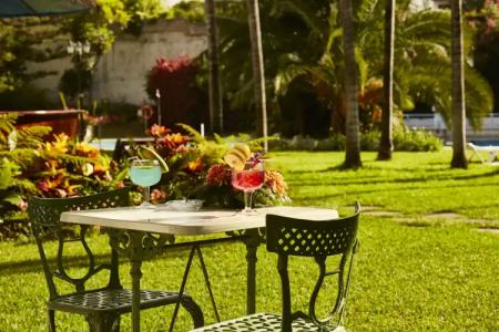 Coral Teide Mar - 31