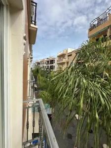 RF Astoria - Adults Only - 48