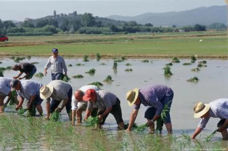 La Costa Golf & Beach Resort - 35