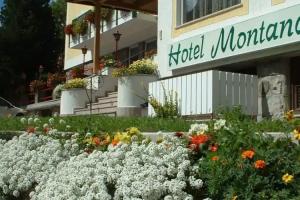 Hotel Montana, Pozza di Fassa