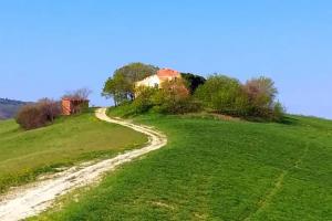 Fondo Riso, Faenza