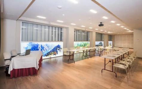 Barceló Ourense - 31