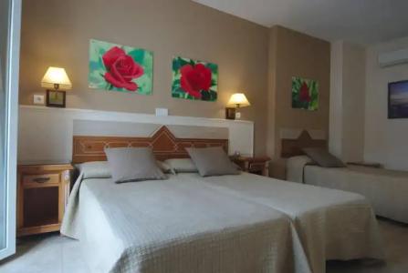 Puerta del Mar - Adults Recommended - 21