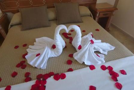 Puerta del Mar - Adults Recommended - 3