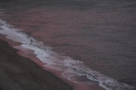 Paraíso Del Mar - 83