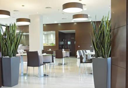 Sercotel JC1 Murcia - 17